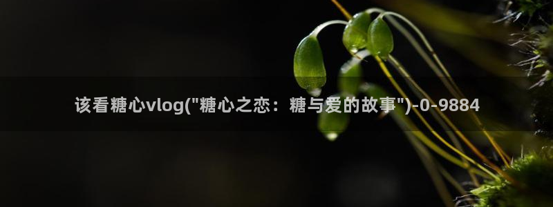 糖心vlog小欧视频