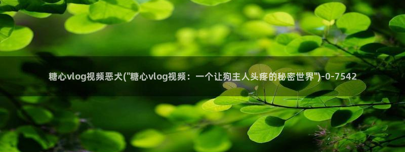 糖心vlog更换账号