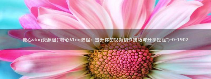 糖心vlog网站App