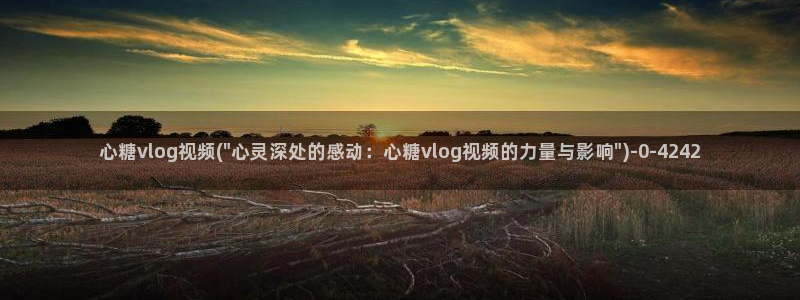 糖心vlog进不去了