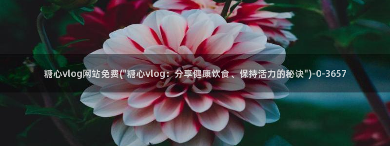 糖心vlog合集封面：糖心vlog网站免费(\
