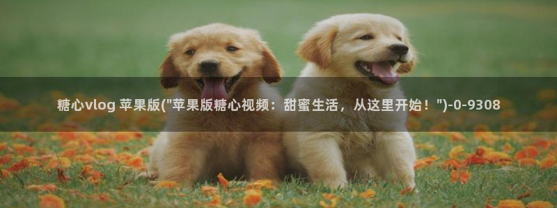 糖心vlog下载汅免费：糖心vlog 苹果版(\