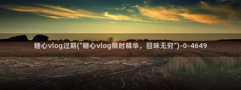 深夜放毒糖心vlog：糖心vlog过期(\