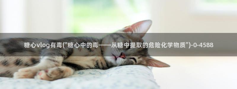 糖心vlog书签：糖心vlog有毒(\
