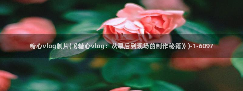 糖心vlog可以约吗：糖心vlog制片(《糖心vlog：从幕后到现场的制作秘籍》)