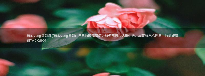 最新糖心vlog小桃：糖心vlog摄影师(\