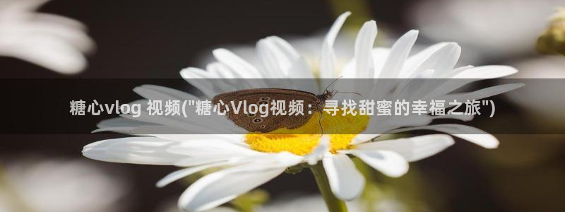 糖心app福利vlog：糖心vlog 视频(\